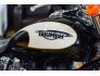 2009 Triumph Speedmaster 900 for sale 201185689